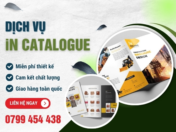 Dịch Vụ In Catalogue Tại Huế Cam Kết Chất Lượng Sắc Nét Vượt Trội
