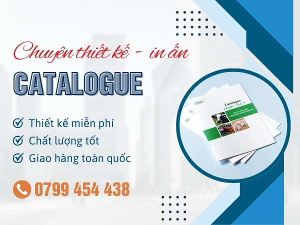 In Catalogue Tại Núi Thành Đà Nẵng Đẳng Cấp Khác Biệt Cho Mọi Dự Án