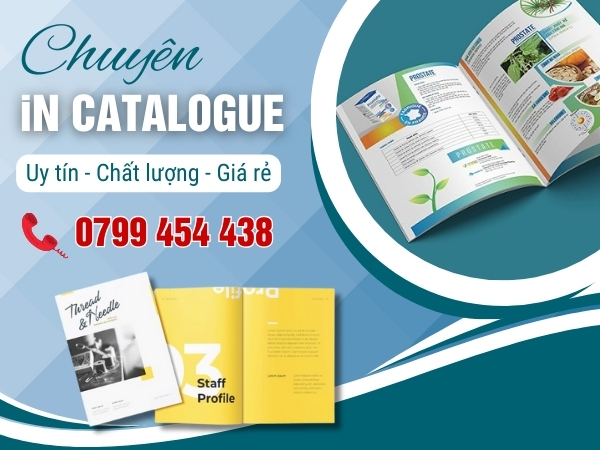 Giải Pháp In Catalogue Tối Ưu Chi Phí Cho Doanh Nghiệp tại Quảng Trị