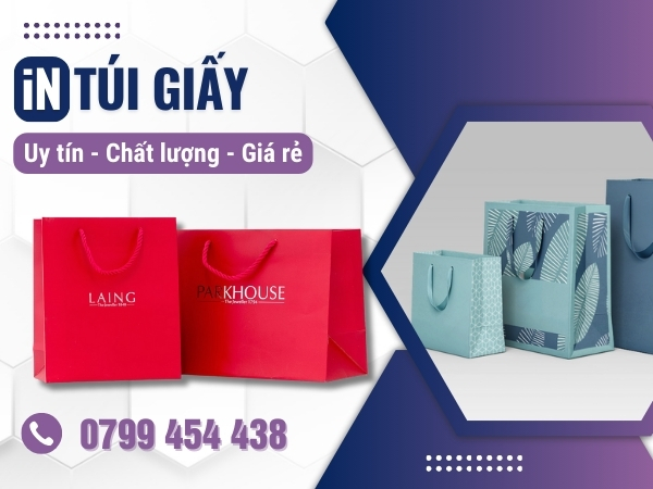 Dịch vụ thiết kế và in túi giấy chuyên nghiệp tại DakLak
