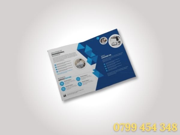 In catalogue ( HSNL )