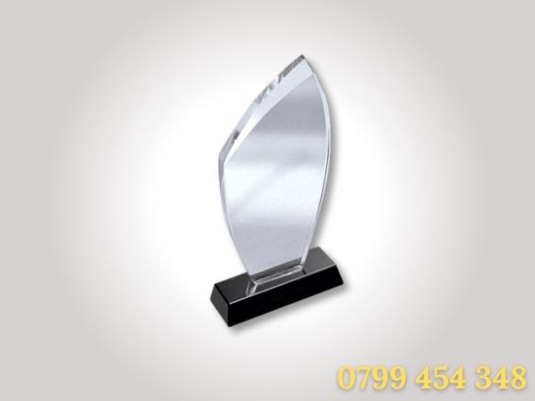 In kỷ niệm chương